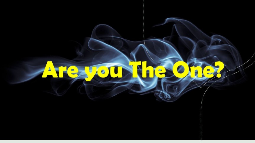 <strong>Are You the&nbsp;One?</strong>